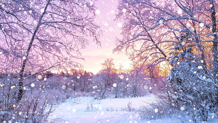 winter snow