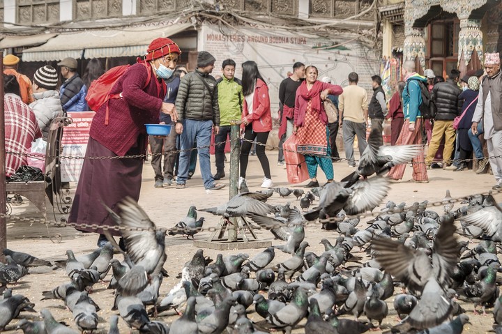 Nepalese