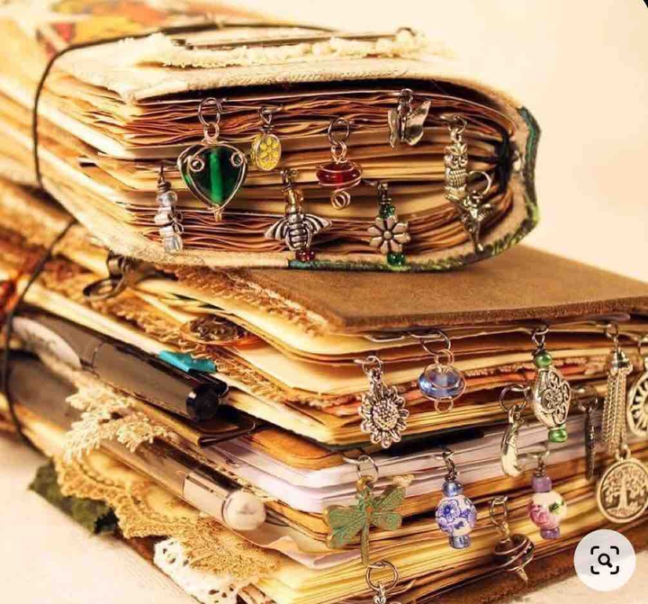 Journal ?