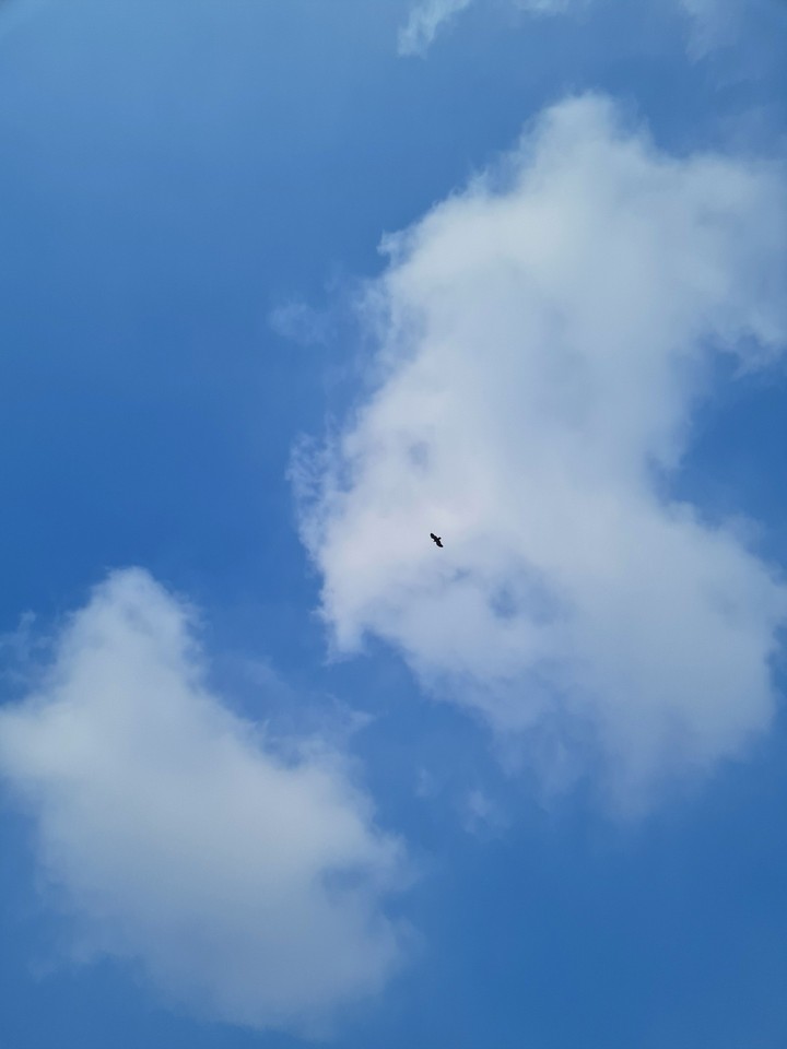 A cloudy day