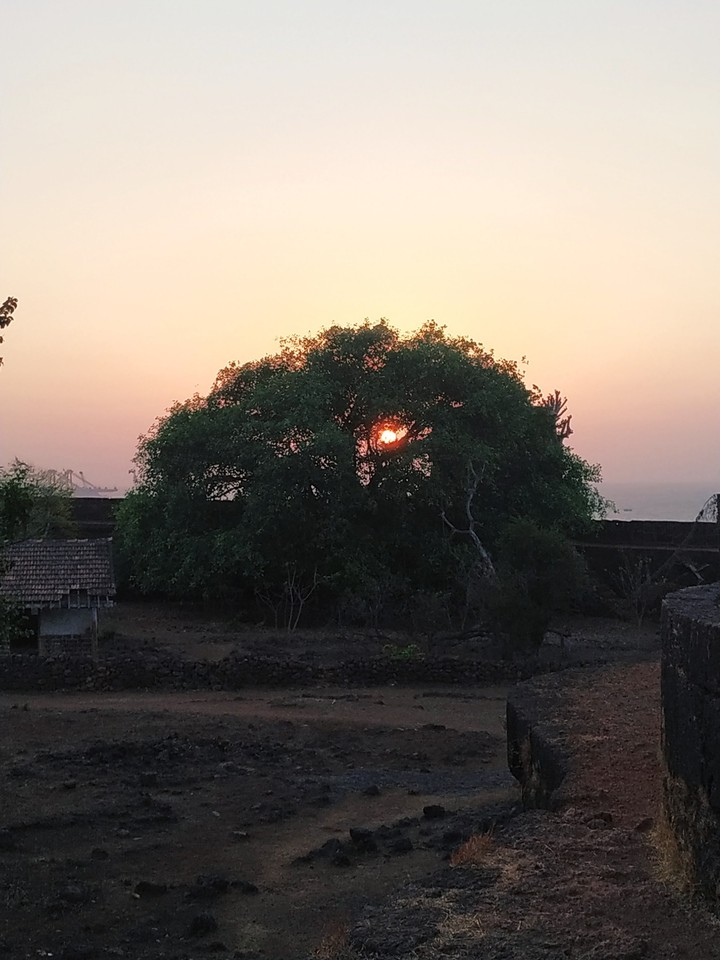 Sunset ?