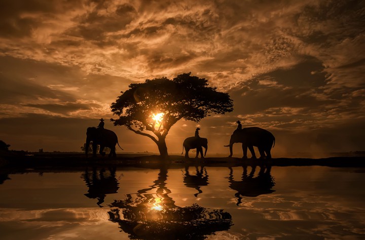 Sunset wallpaper