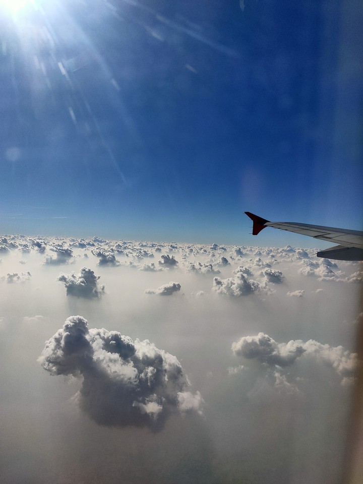 flight