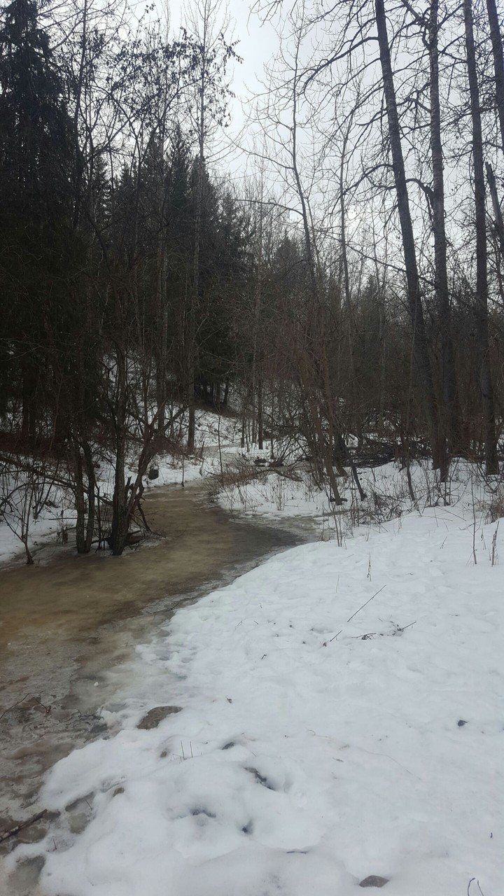 River Valley