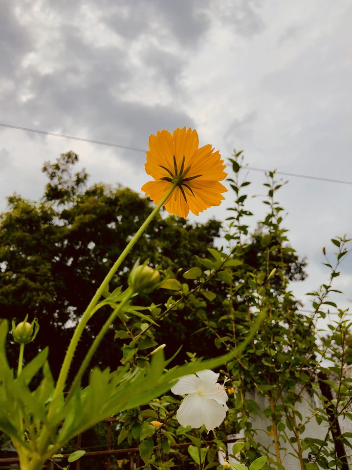 nature