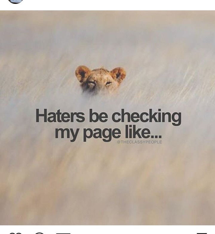 hater's
