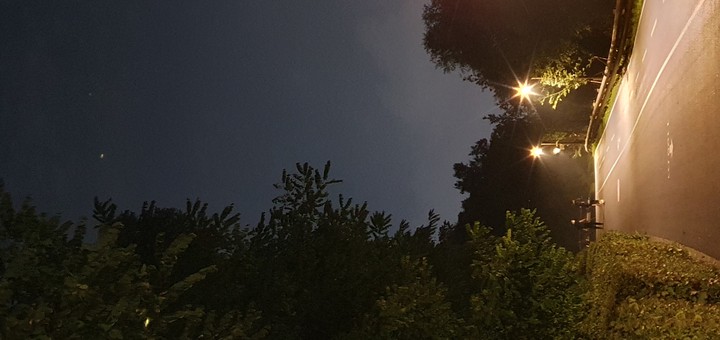 night sky view