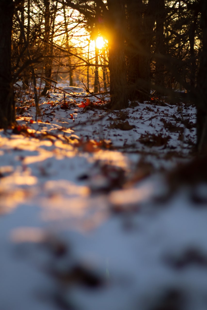 winter