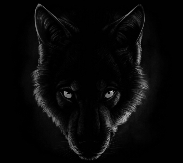 wolf