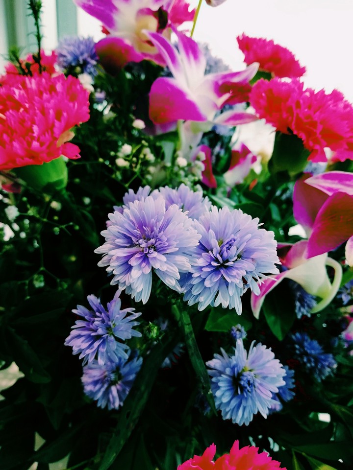 flowers