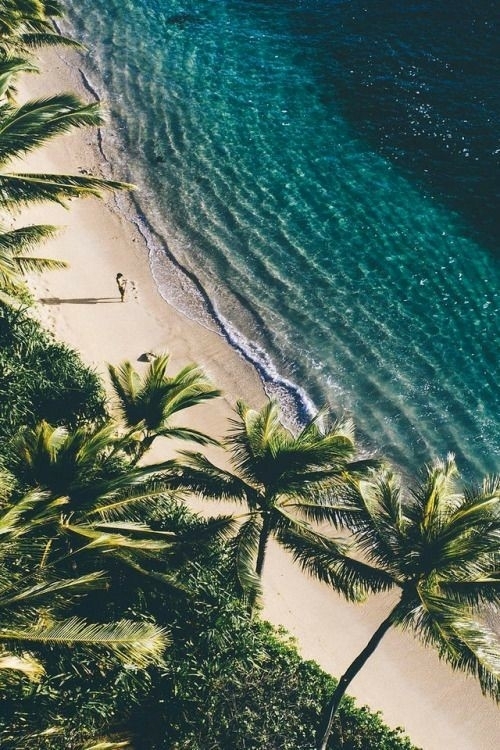 beach