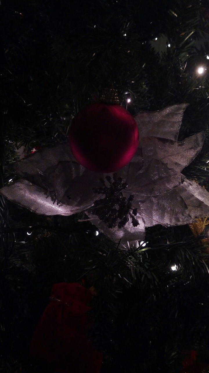 Christmas loading!! 