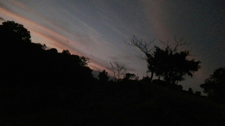 Beauty