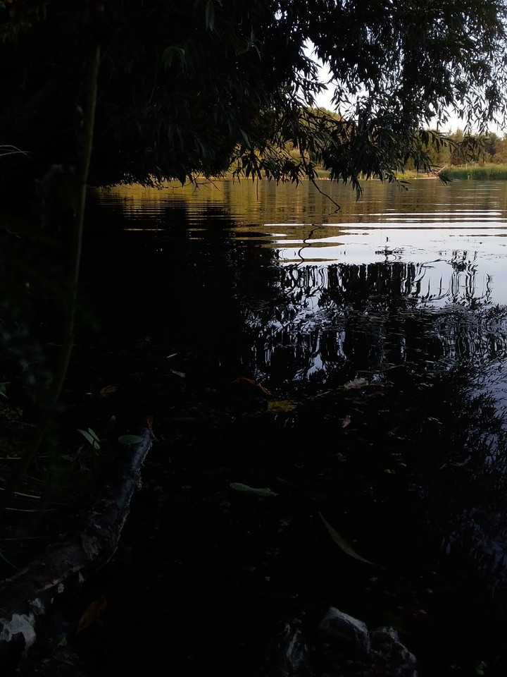 Water