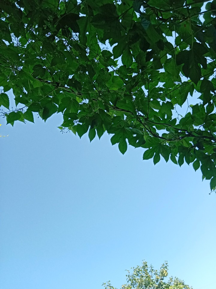 sky