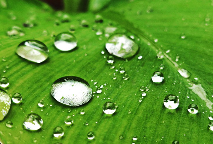 droplets