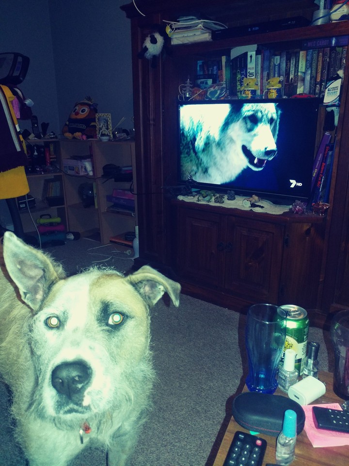 Wally was watching TV 