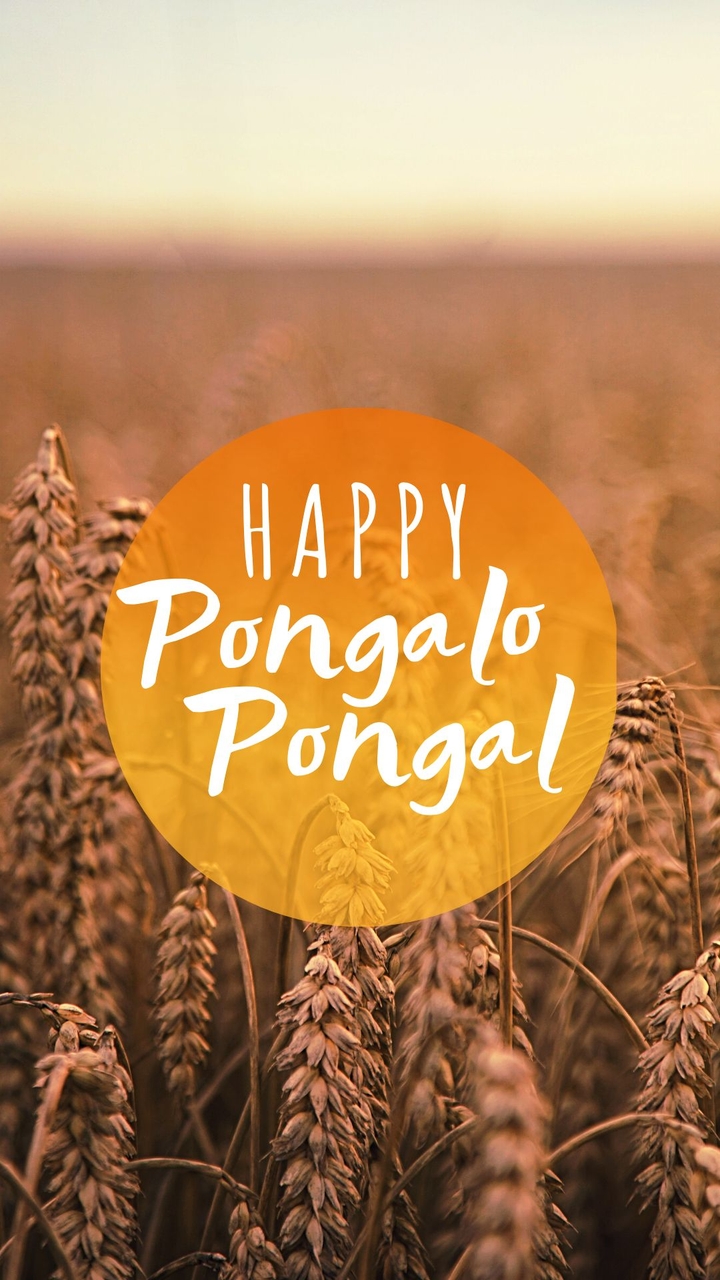 Pongal