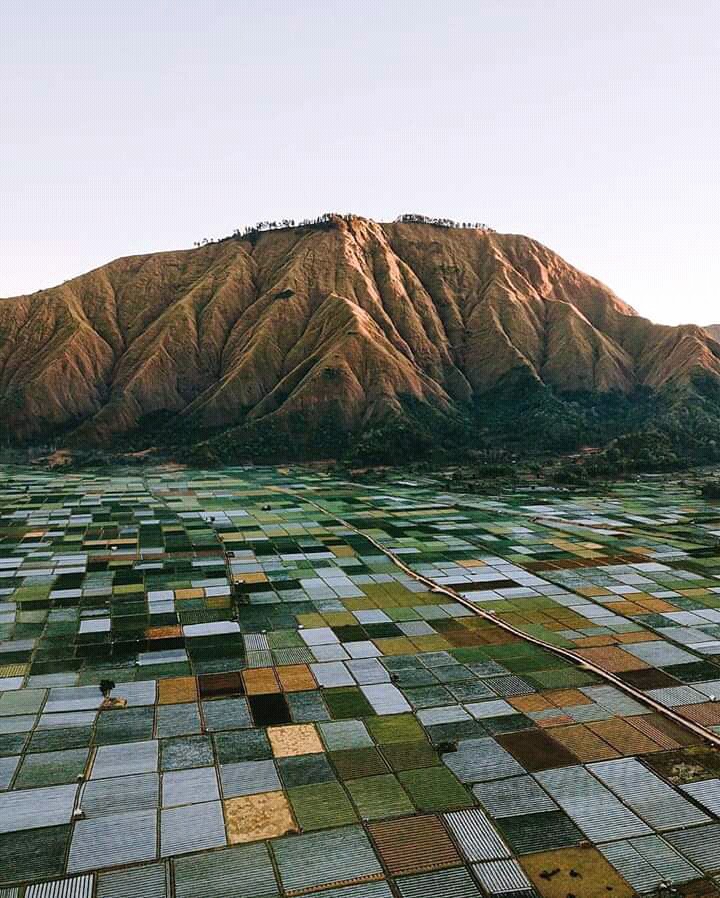 mountain
