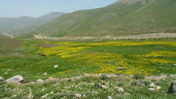 iran