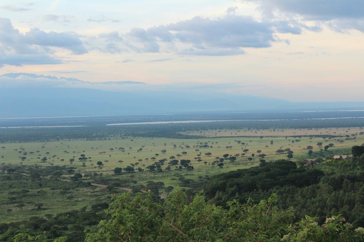 Queen Elizabeth national park
