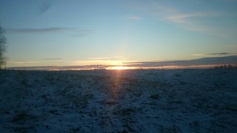 Winter