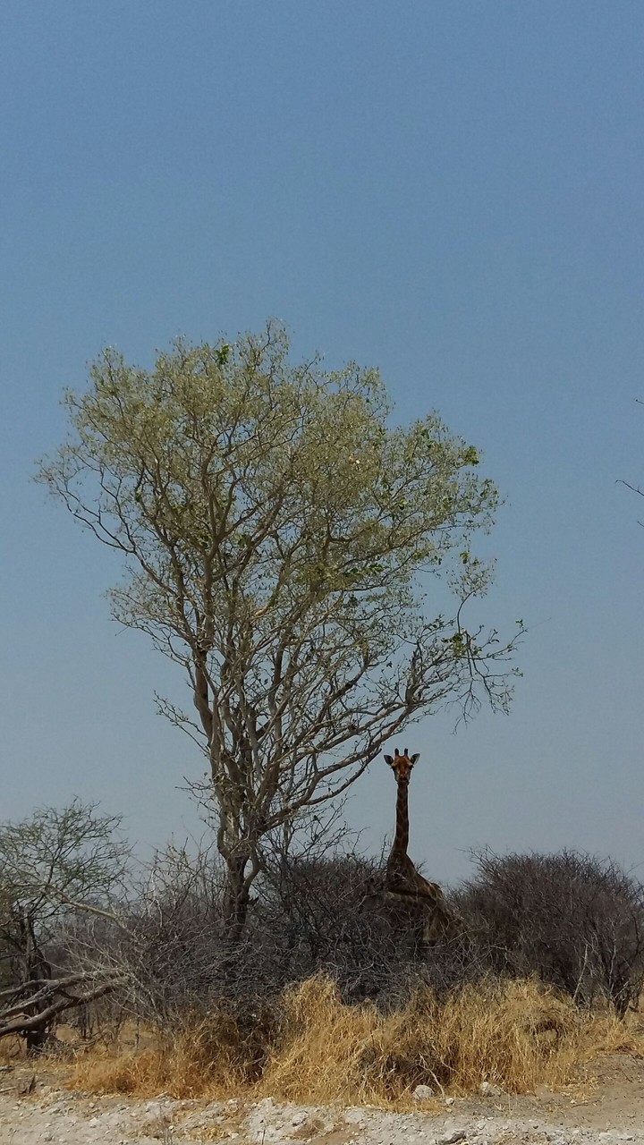 Namibia