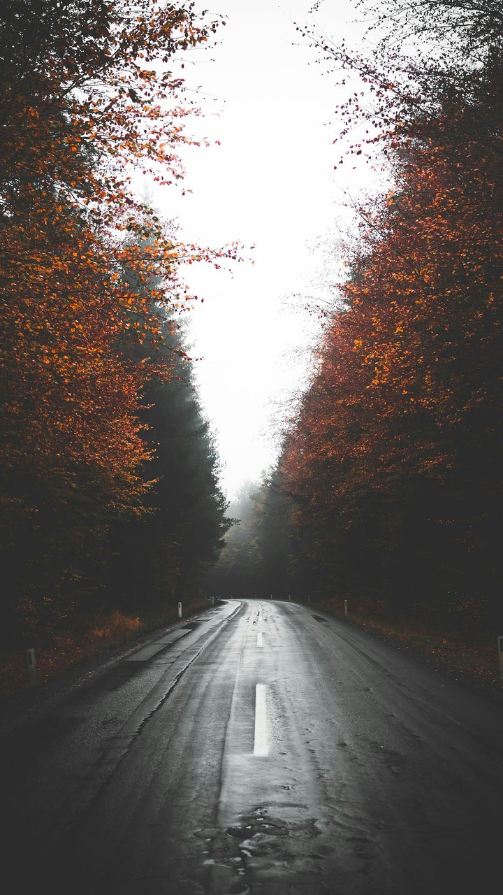 hd