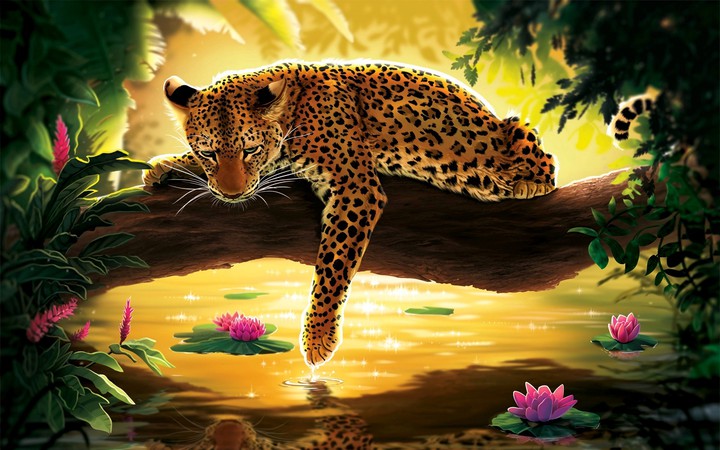 Leopard