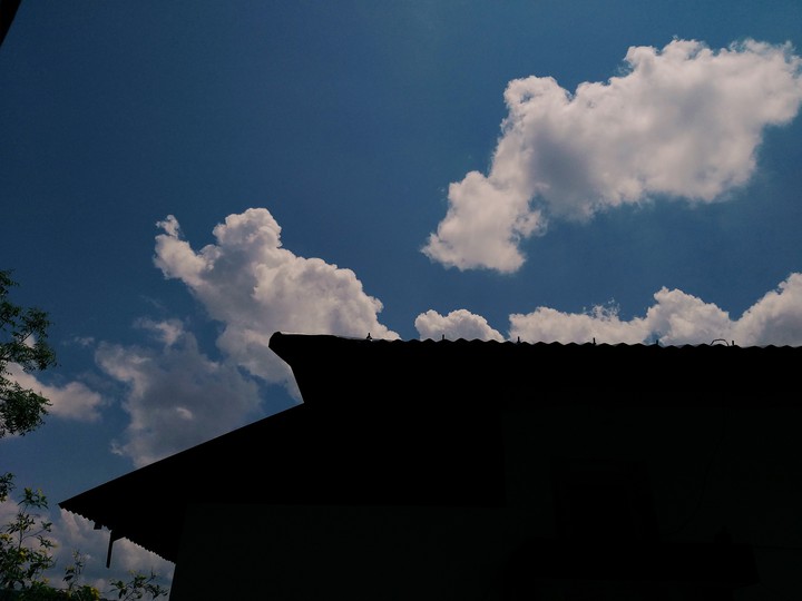 Summer Day