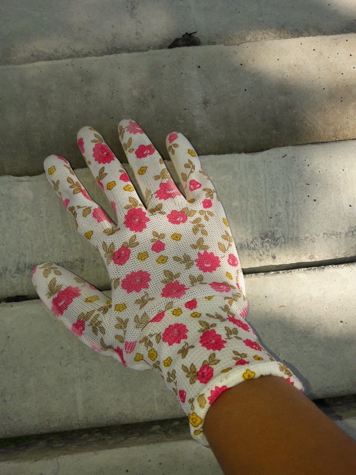 My colourful glove