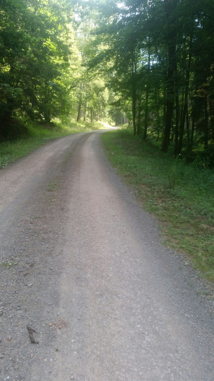 Der Lange Weg der Natur