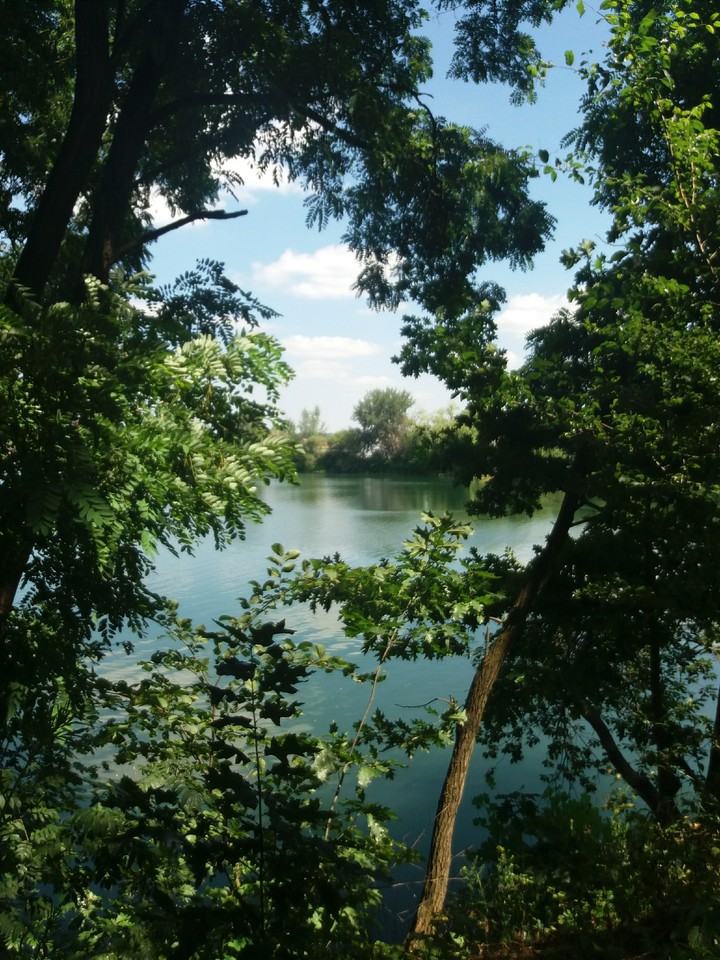 summer day