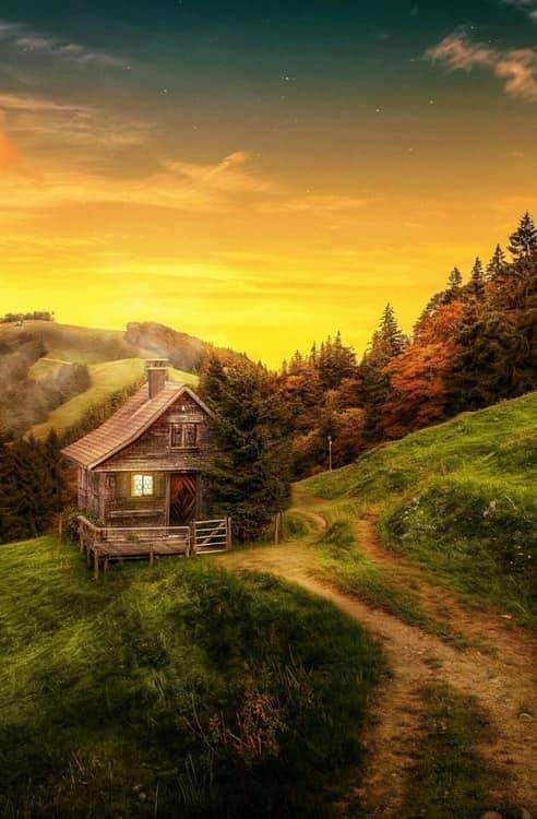 Home