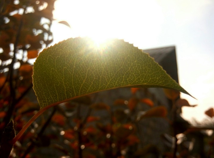 sunrise