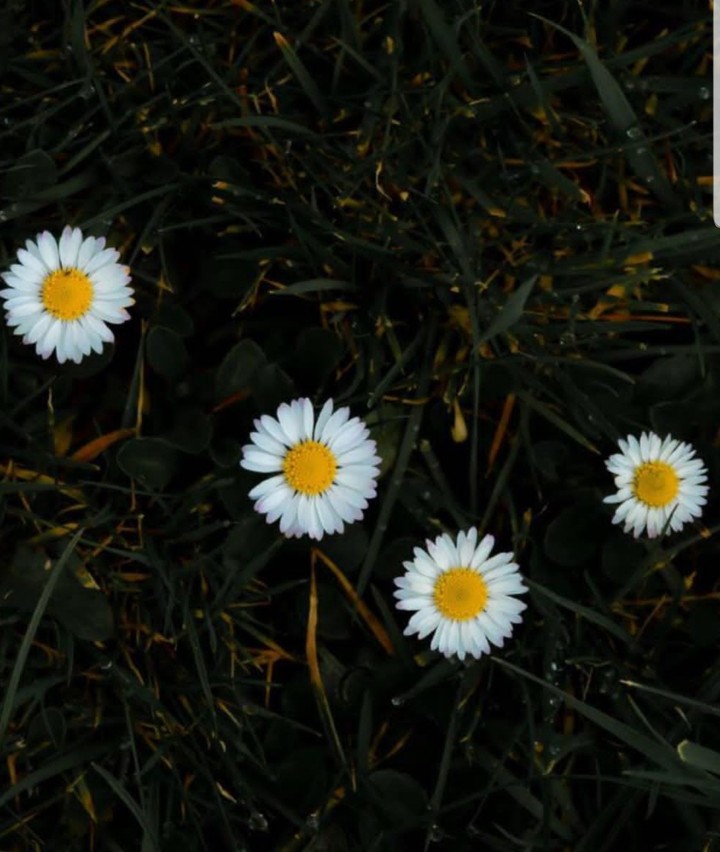 natures#Beauty#blesisng