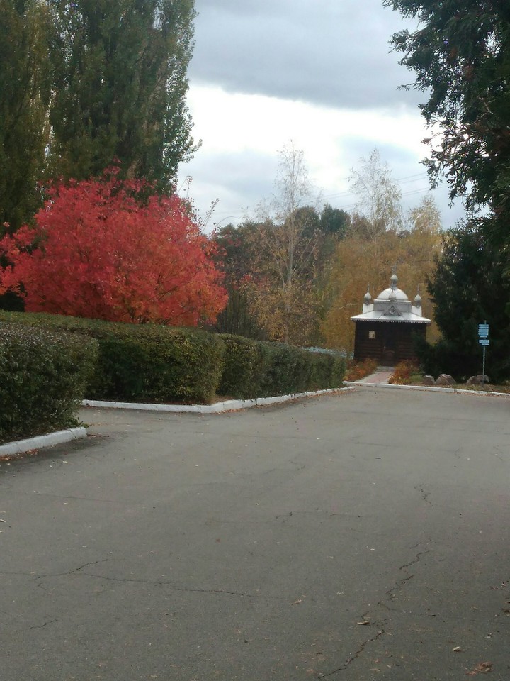 autumn