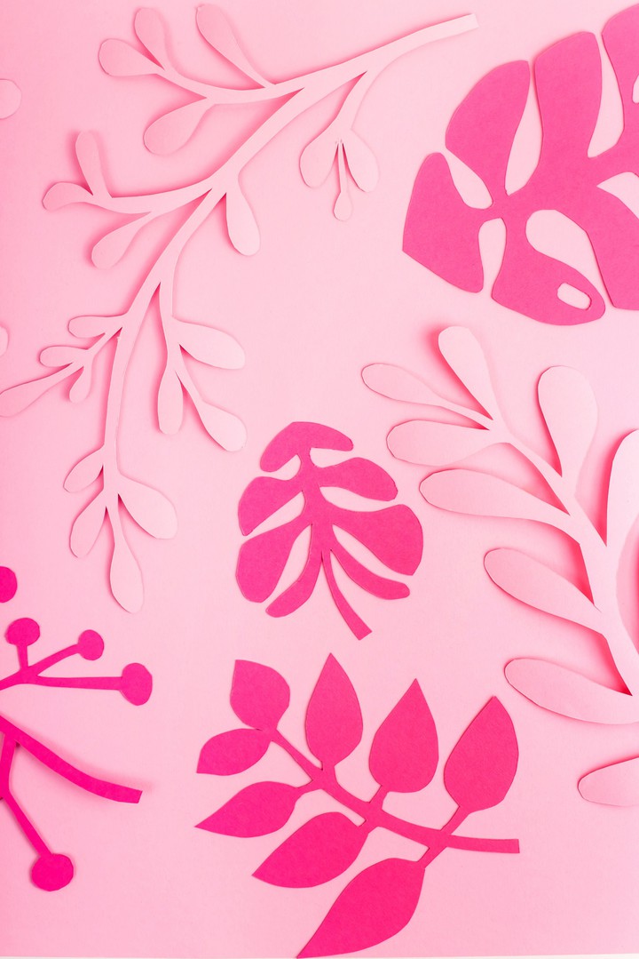 rosado
