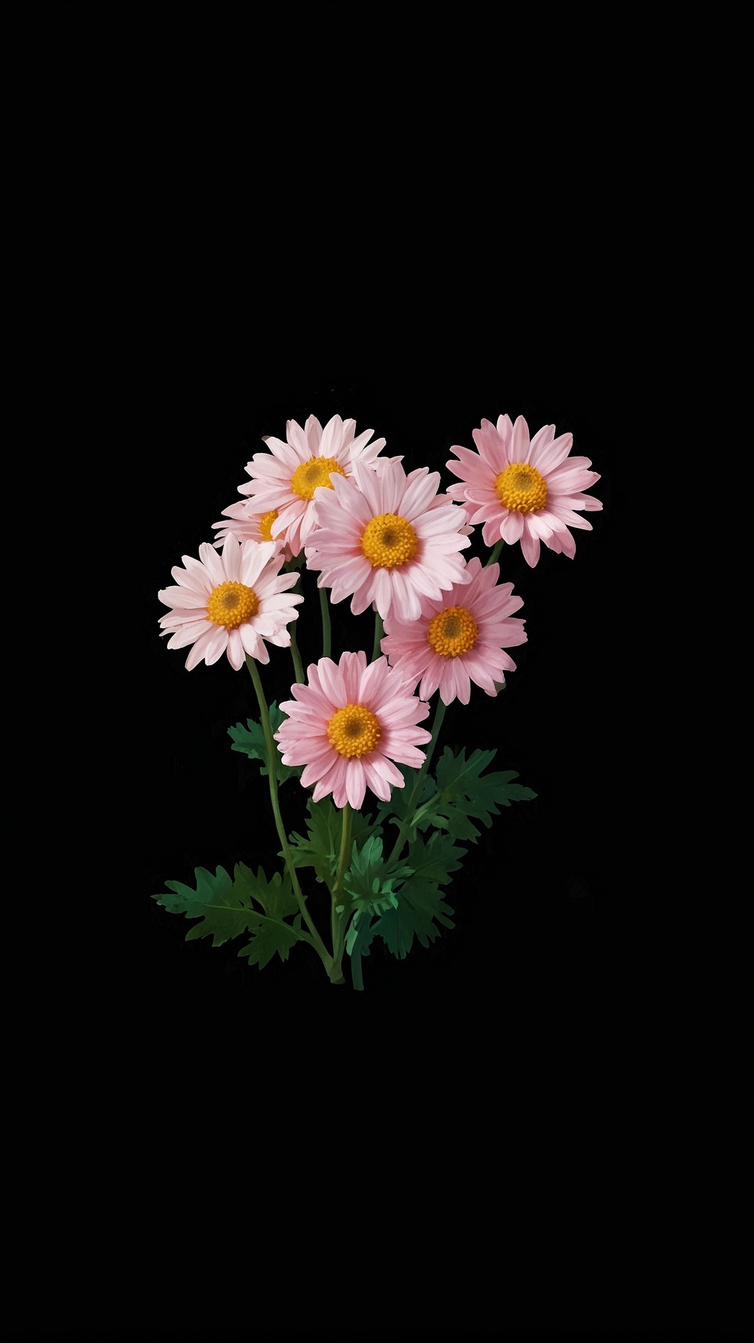 Flower, Petal, Lotus