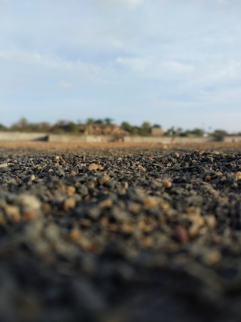 шпалери soil, grass