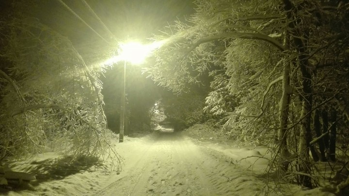 winter