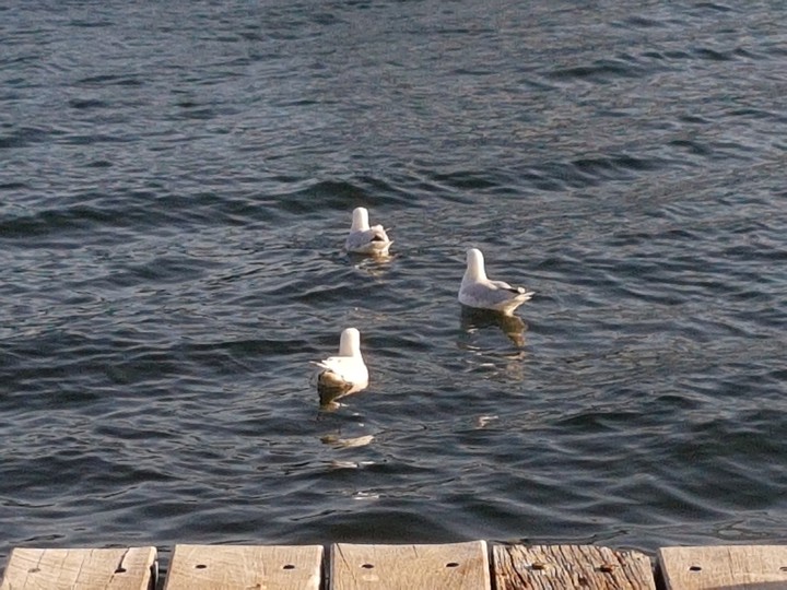 On the Pier