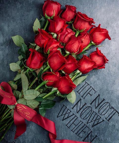 rose