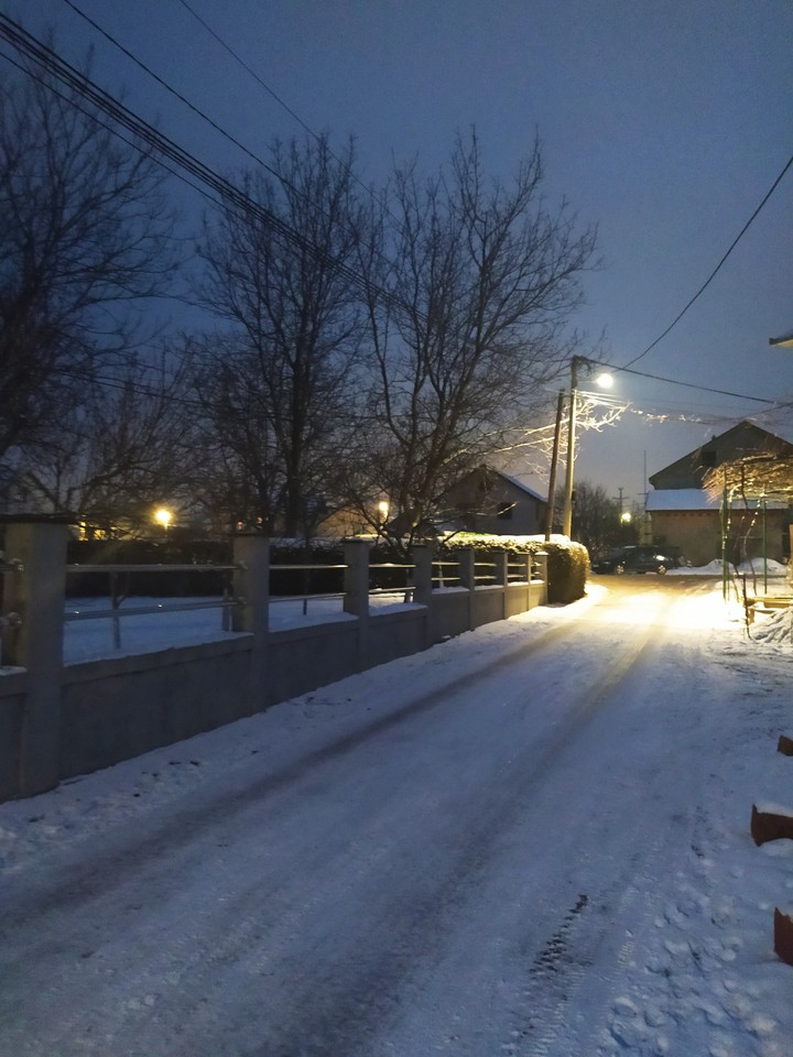 Winter night