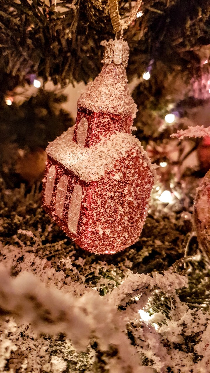 Christmas is coming