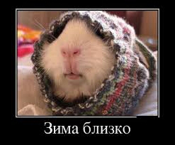 НЯША