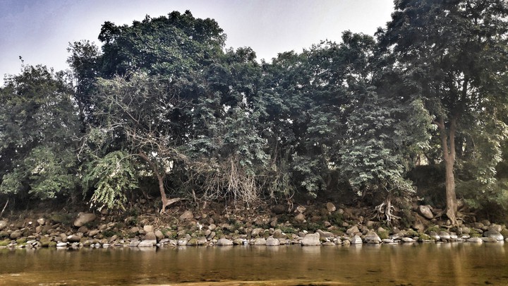 Nature