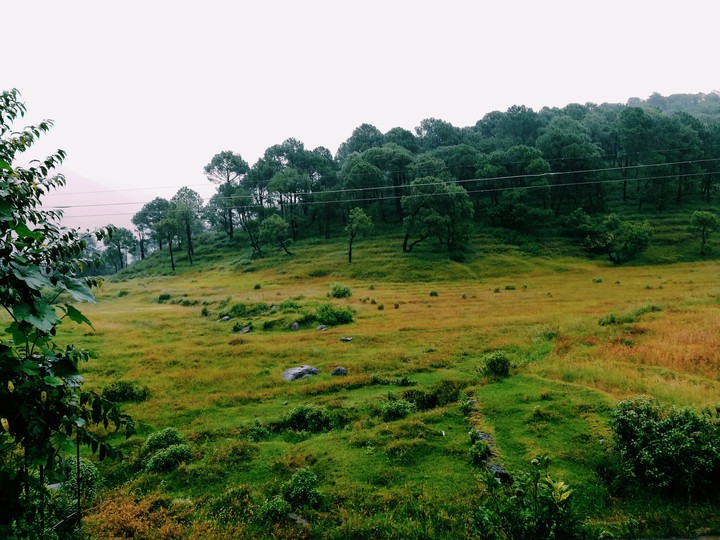 Mother nature