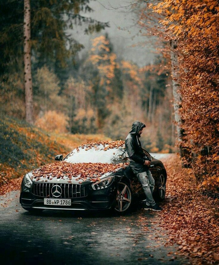 mecedeabenz amg gtr