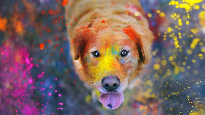 ARCOIRIS